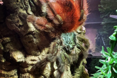 69BB9A46-F20D-4D28-8E6E-ADD5629745E6